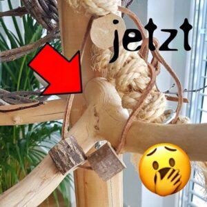 Spielzeug verschwunden