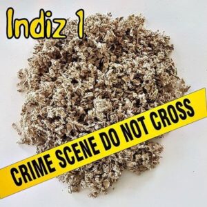 1. Indiz