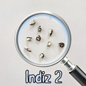2. Indiz