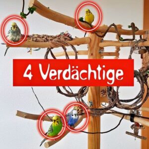 4 Verd&auml;chtige