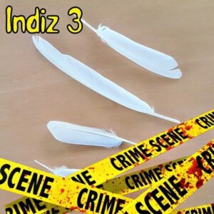 3. Indiz