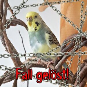 Fall gel&ouml;st!