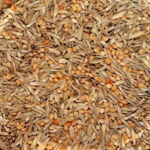 BirdBox Diät-Mischung BirdBox Diät-Mischung