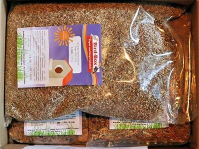 Wellensittichfutter von Bird-Box Wellensittichfutter von Bird-Box