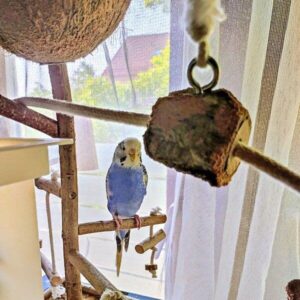 Elli auf dem Spielplatz