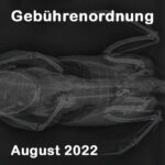 Röngtenbild