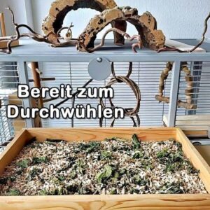 Fertig f&uuml;r die Wellis