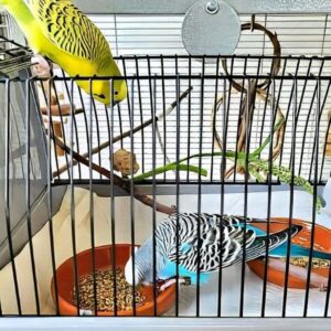 Boxen-Training Boxen-Training