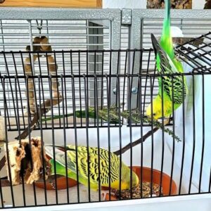 Boxen-Training Boxen-Training