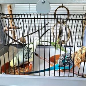 Boxen-Training Boxen-Training