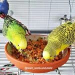 Zerkleinertes Gem&uuml;se mit K&ouml;rnern