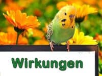 Wirkungen der Futterpflanzen