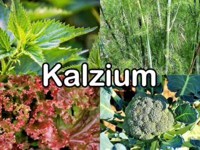 Kalzium Kalzium