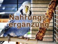 Nahrungsergänzung im Handel Nahrungsergänzung im Handel