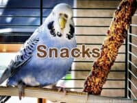 Snacks im Handel Snacks im Handel