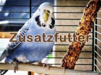 Zusatzfutter im Handel Zusatzfutter im Handel