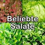Beliebte Salate für Wellensittiche