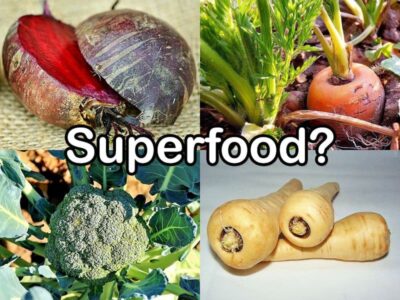 Superfood beim Gemüse Superfood - Gemüse