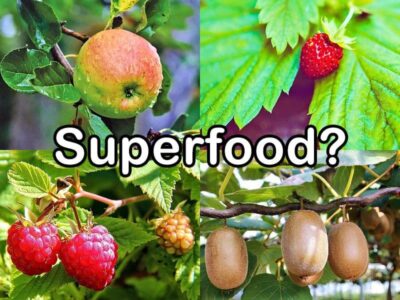 Superfood beim Obst Superfood - Obst