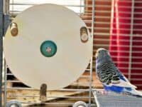 Karussell mit Jule Karussell mit Jule