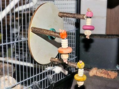 Karussell mit Spielzeug