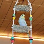 Korkleiter mit Ronja Korkleiter mit Ronja