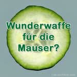 Nährstoffvergleich: Gurke für die Mauser?