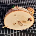 Walnuss befestigen Walnuss befestigen