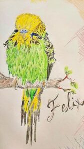 Zeichnung von Mandy Mager