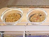 Sitzstange f&uuml;r Futterbar