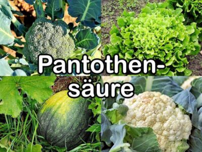 Pantothensäure Pantothensäure