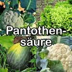Nährstoffe: Pantothensäure (Vitamin B5)