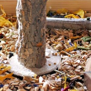 W&uuml;hlkiste mit Bl&uuml;ten