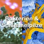 Bakterien & Schimmelpilze im Futter