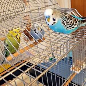 Kontaktaufnahme Kontaktaufnahme