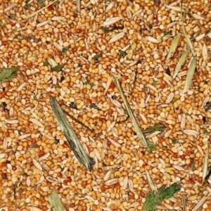 Enthaltene Saaten Enthaltene Saaten