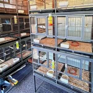 Zuchtanlage von premiumwellis