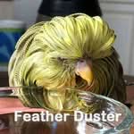 Emil der Feather Duster