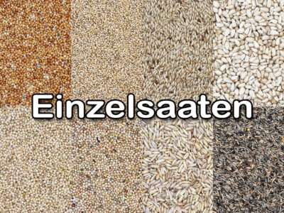 Körner & Saaten Körner & Saaten