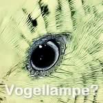 HappyBird: Vogellampe oder Tageslichtlampe?