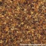 Zichoriensamen (Futterkr&auml;merei)