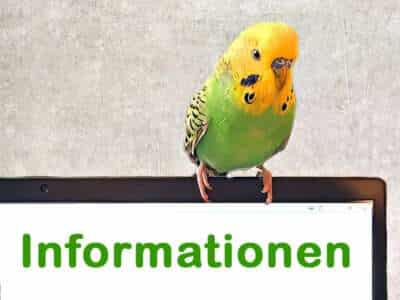 Informationen