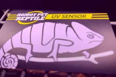 UV-Testkarte (lila) UV-Testkarte (lila)