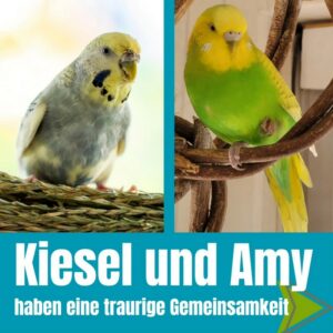 Kiesel und Amy 01 Kiesel und Amy 01