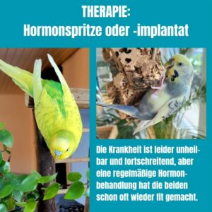 Kiesel und Amy 05 Kiesel und Amy 05