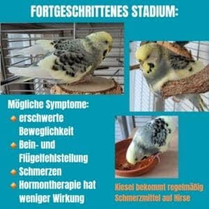 Kiesel und Amy 06 Kiesel und Amy 06
