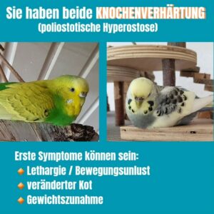 Kiesel und Amy 02 Kiesel und Amy 02