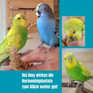 Kiesel und Amy 07 Kiesel und Amy 07