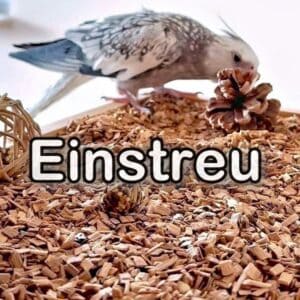 K&auml;figeinstreu