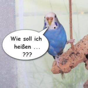 Wellensittich-Namen